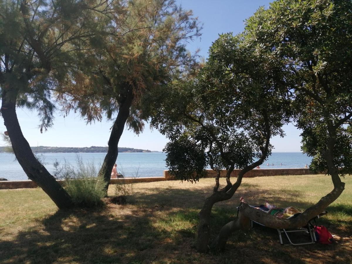 Apartment Vera, 80 M From The Sea Novigrad Istria المظهر الخارجي الصورة