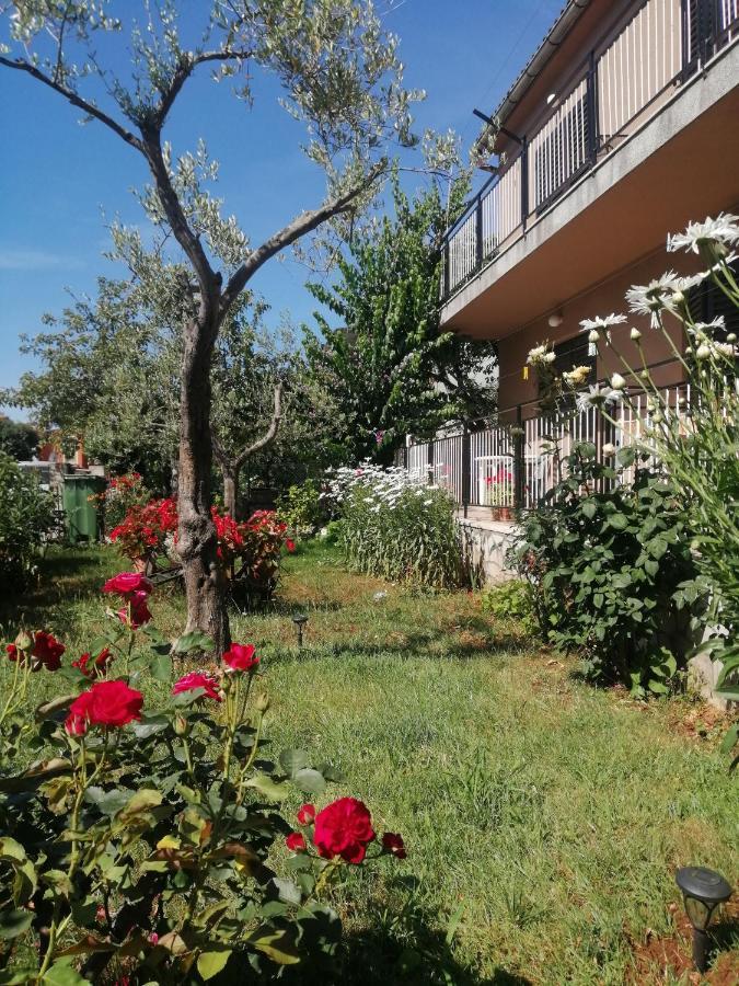 Apartment Vera, 80 M From The Sea Novigrad Istria المظهر الخارجي الصورة